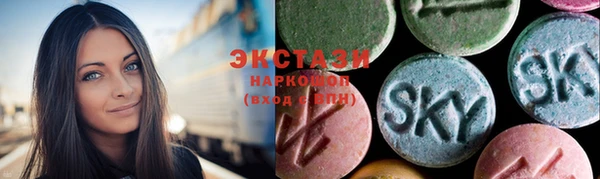 стаф Богданович