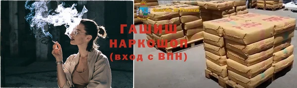 стаф Богданович