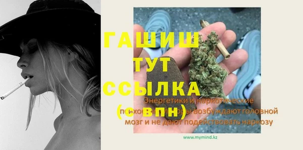 стаф Богданович