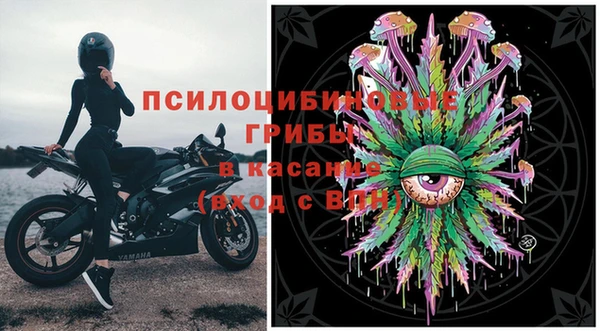 стаф Богданович