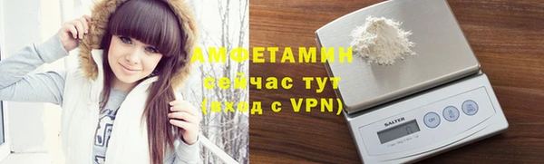 мдпв Богородск