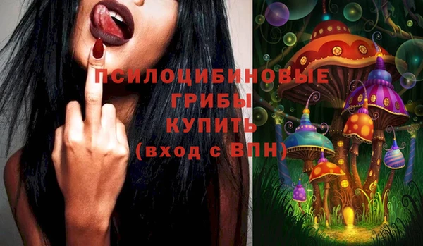 прущая мука Богородицк