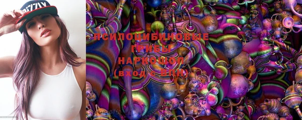 стаф Богданович