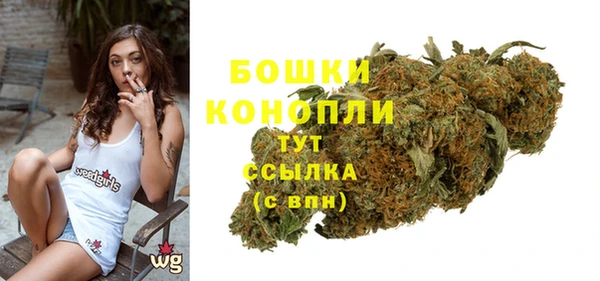стаф Богданович
