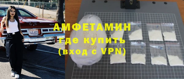 стаф Богданович