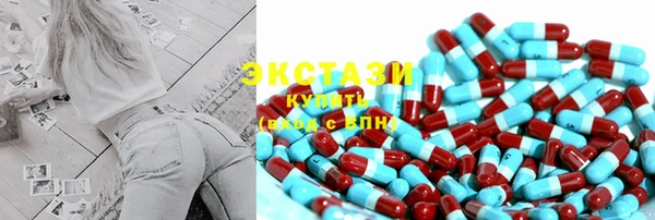 стаф Богданович