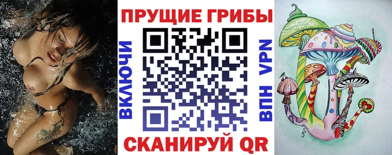 Галлюциногенные грибы Psilocybine cubensis  Мосальск 